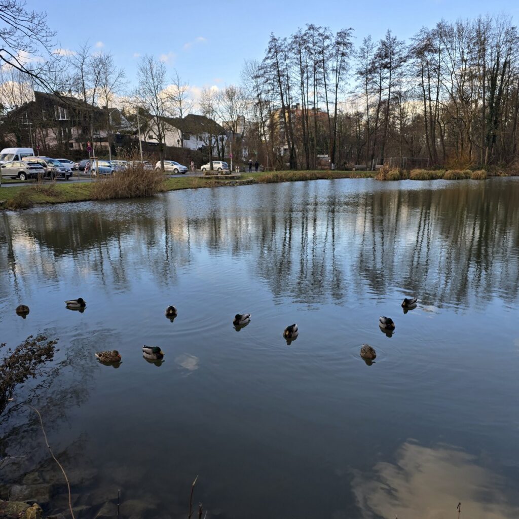 20250106_133959_1200x1200