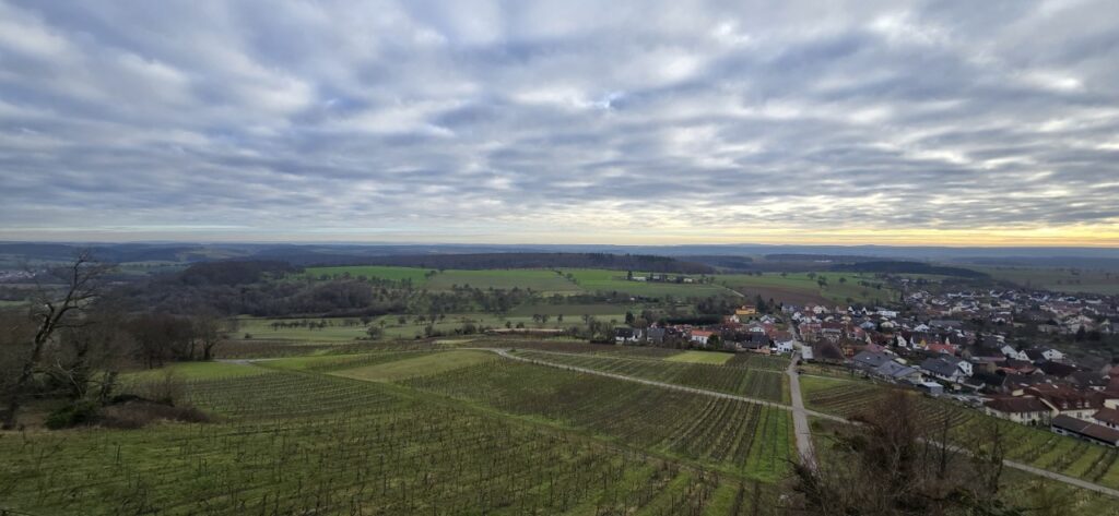 20241225_133124_1280x591