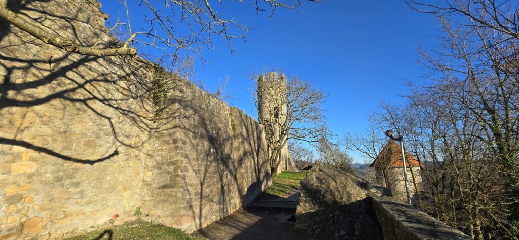 20241226_142942_1600x739