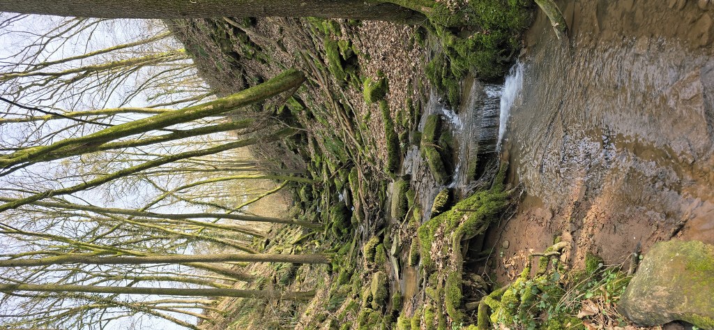 20260308_134346_1024_473