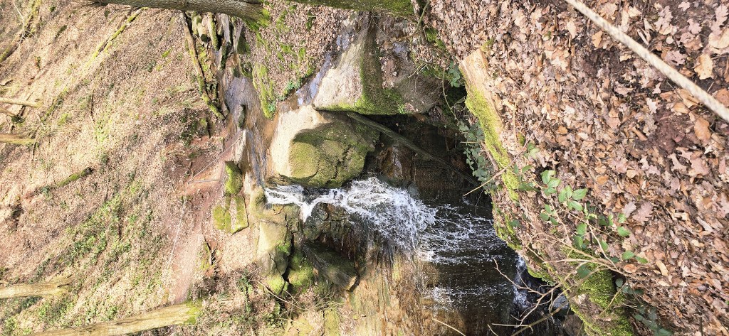 20260308_134501_1024_473