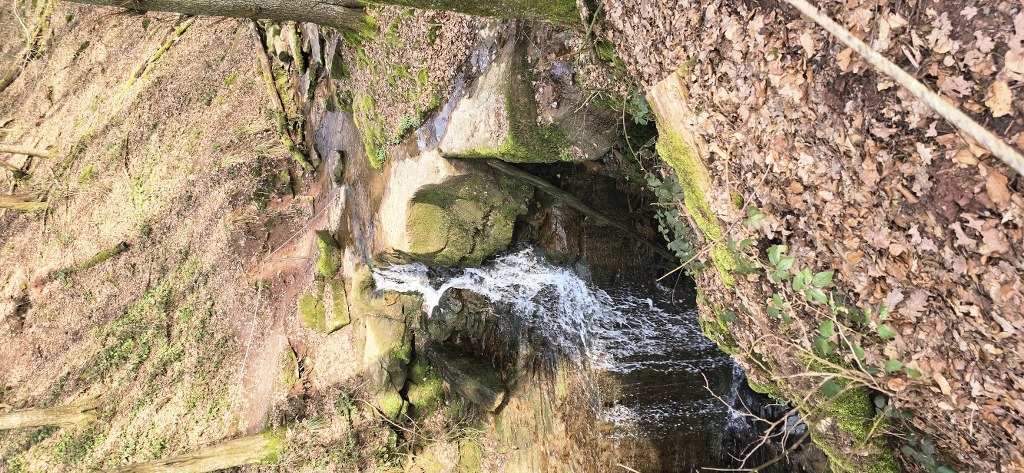 20260308_134502_1024_473