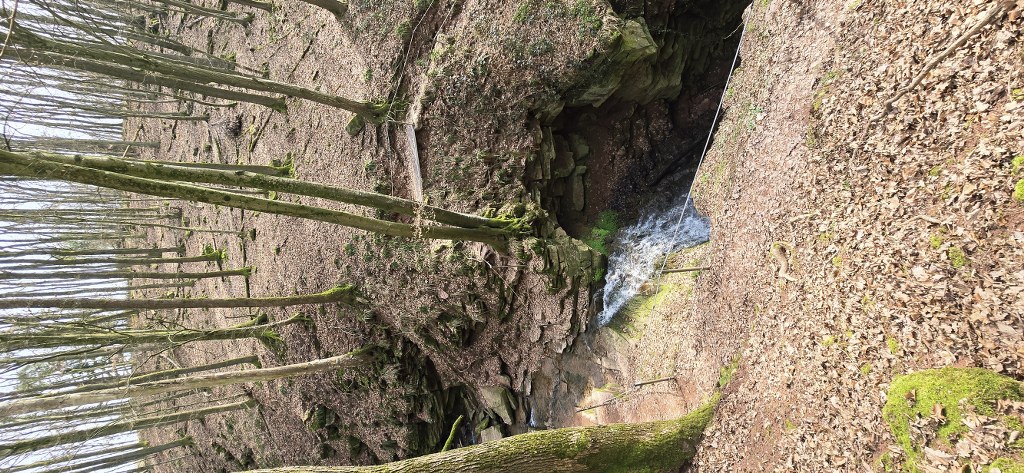 20260308_134652_1024_473