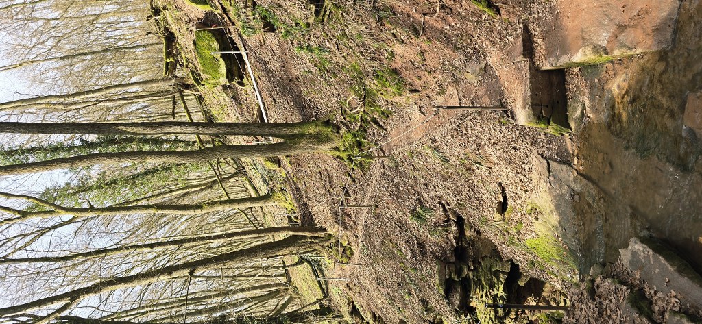 20260308_135235_1024_473