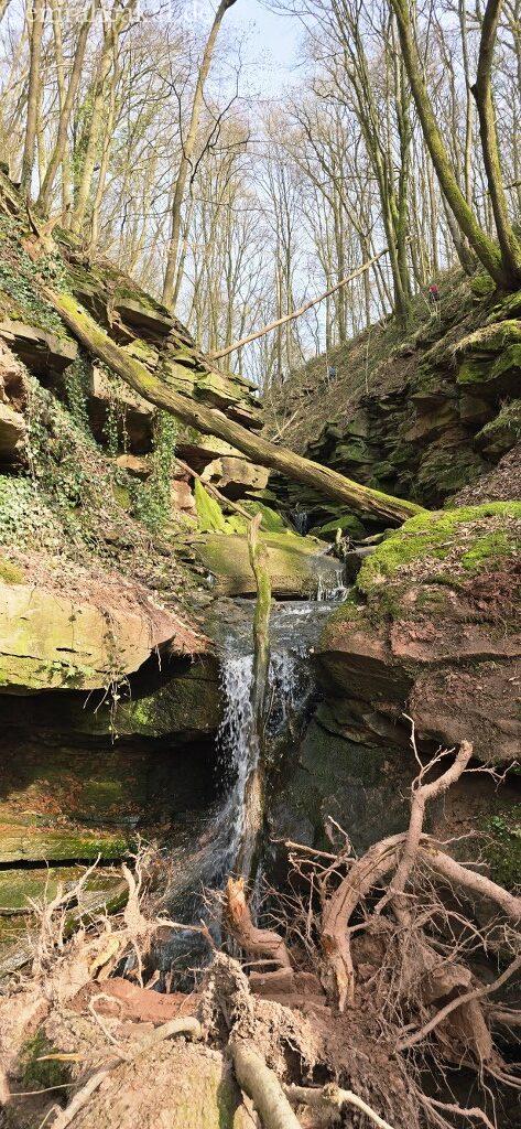 20260308_140148_1024_473