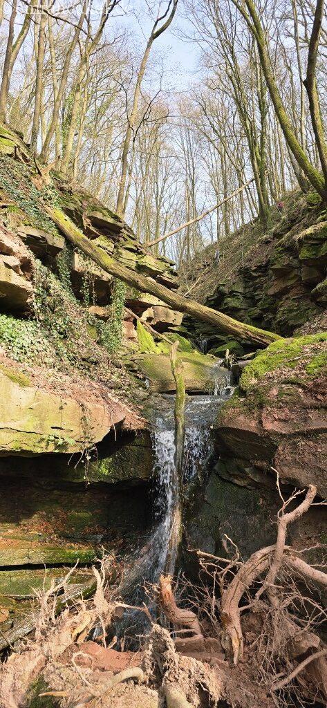 20260308_140150_1024_473