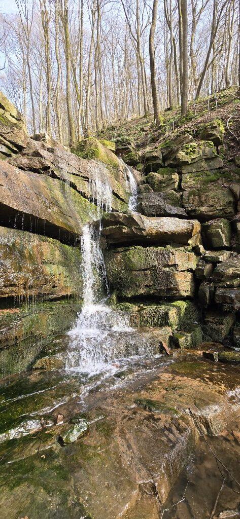 20260308_142234_1024_473