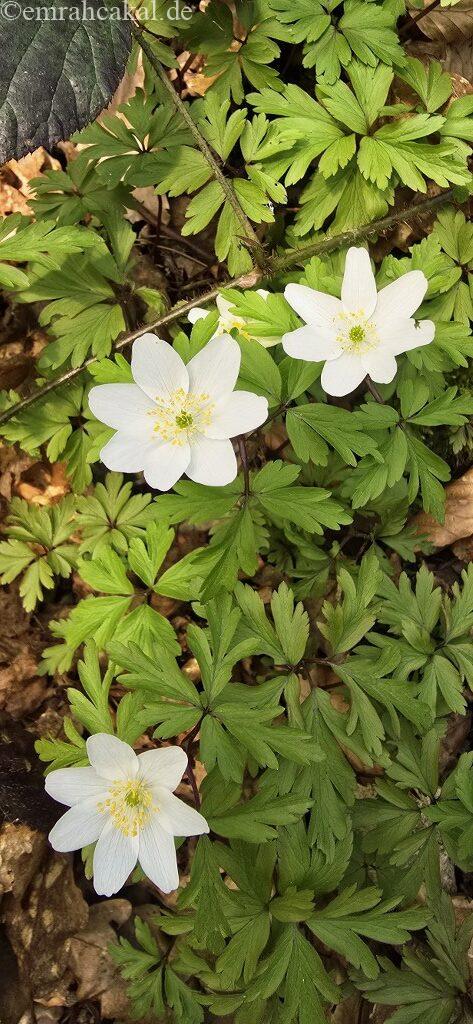 20260308_143900_1024_473