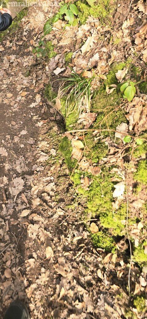 20260308_144057_1024_473