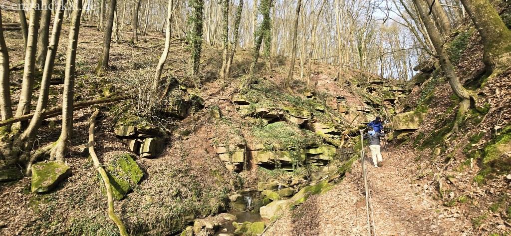 20260308_151032_1024_473