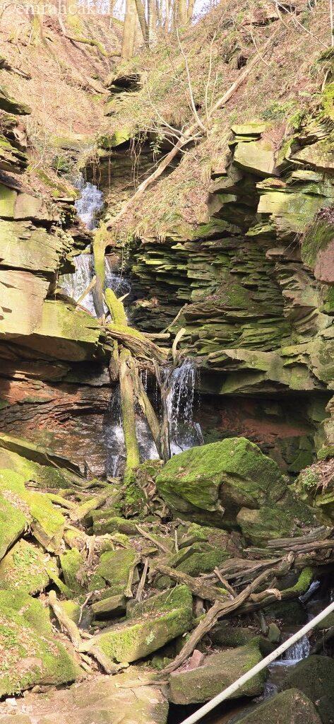 20260308_151250_1024_473