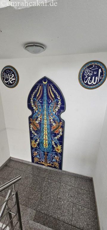 IMG-20260314-WA0003_359_768