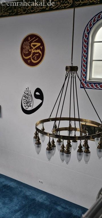 IMG-20260314-WA0008_359_768